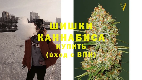 гидра Костерёво