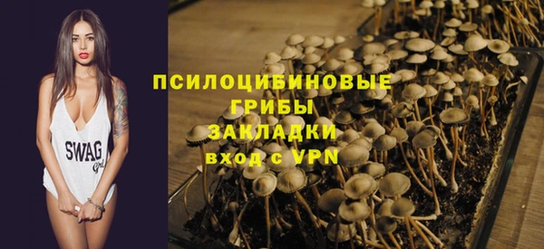 МДПВ Корсаков