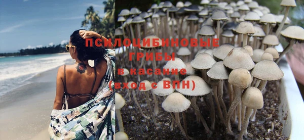 гидра Костерёво