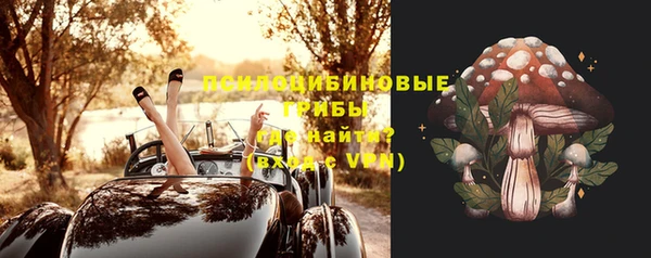 МДПВ Корсаков