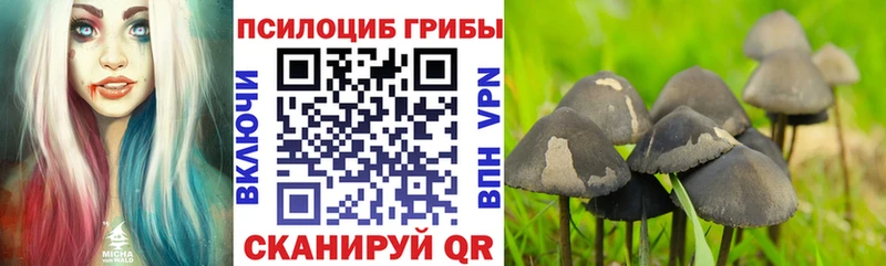 Псилоцибиновые грибы GOLDEN TEACHER где можно купить Красновишерск